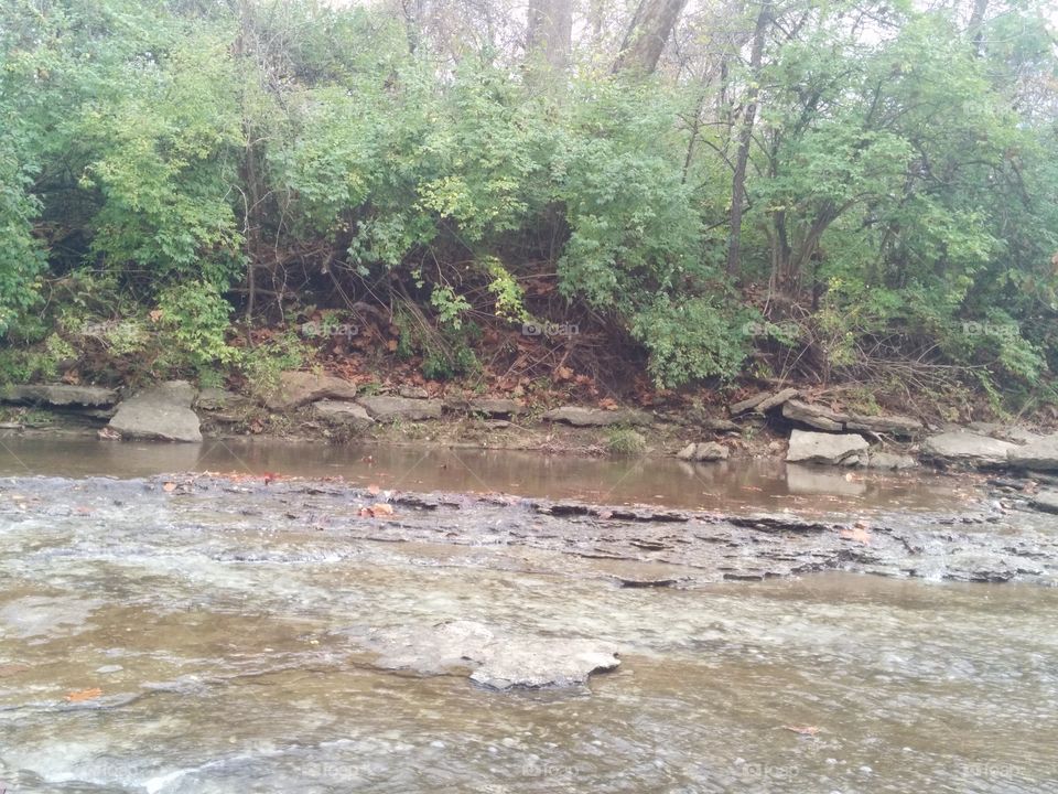 creek bed