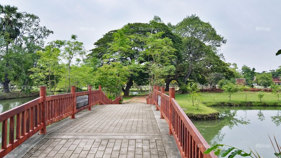 The bridge in the garden