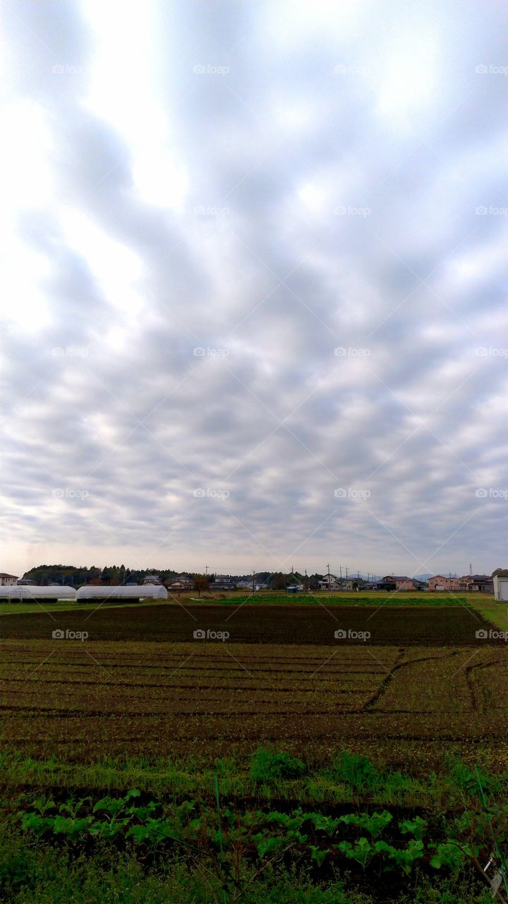 Scaly cloud