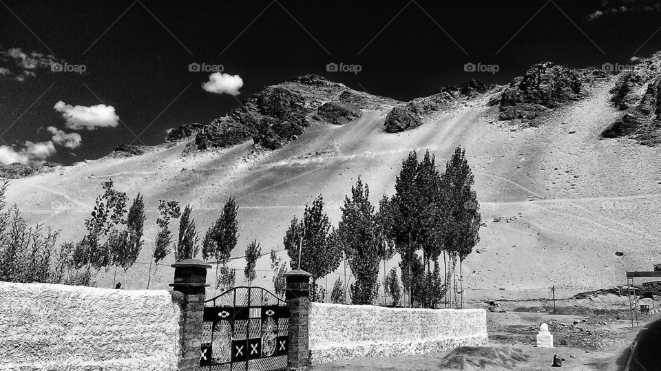 Timeless landscapes...