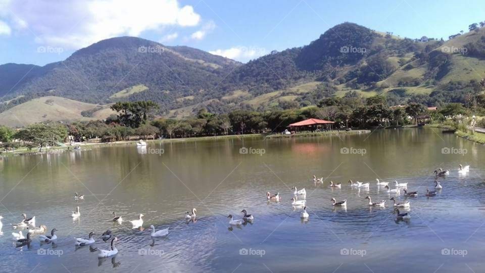 Brasil e sua natureza