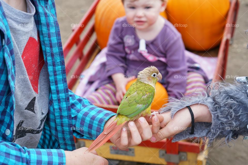 Kids With Pet Bird