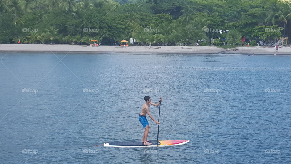 Paddle board