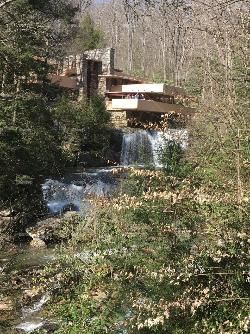 Fallingwater designed by frank Lloyd Wright