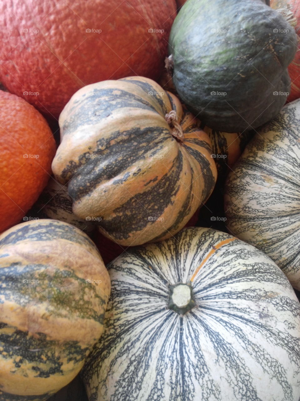 Pumpkins