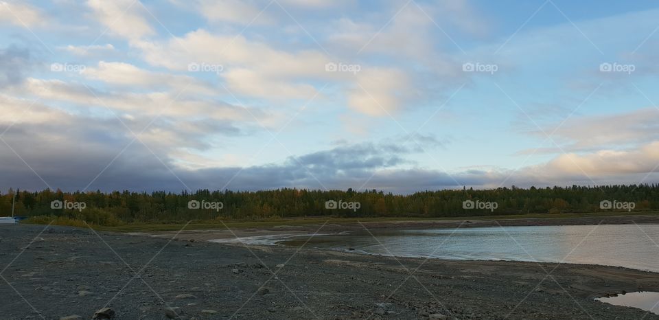 Природа около Оби