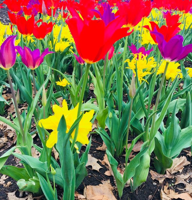 💐💐💐