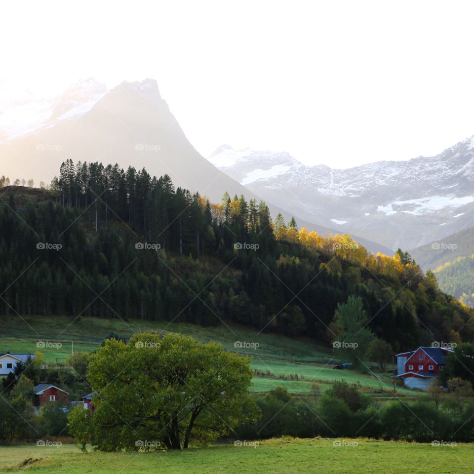 Norwegian countryside
