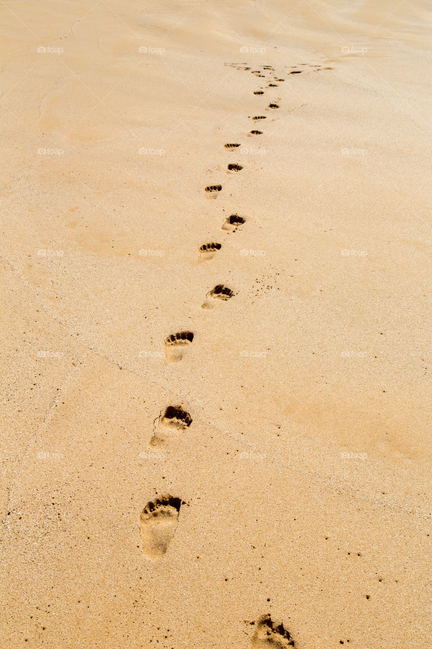 Footprints in the sand