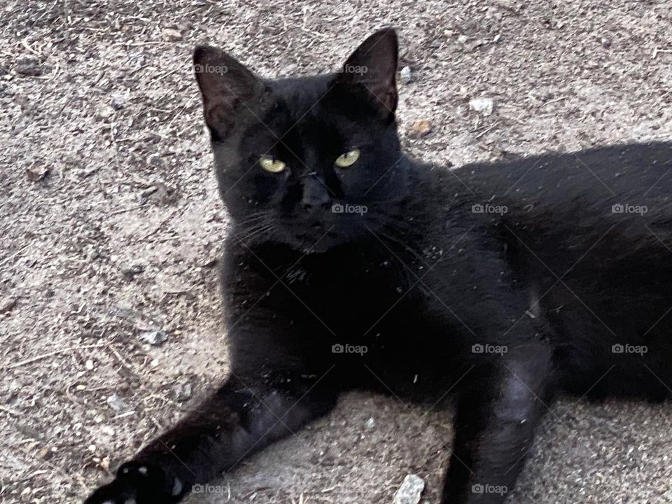 He’s looking at you 