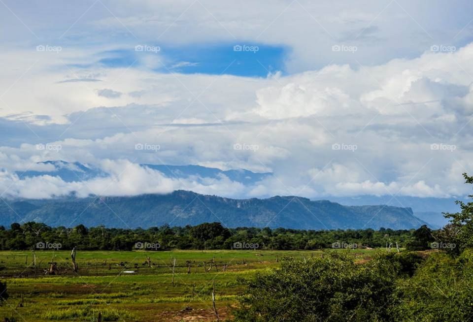 What a beautiful site # paddy fields near by the forest and mountains # the clouds been painted by the nature to sooth our eyes