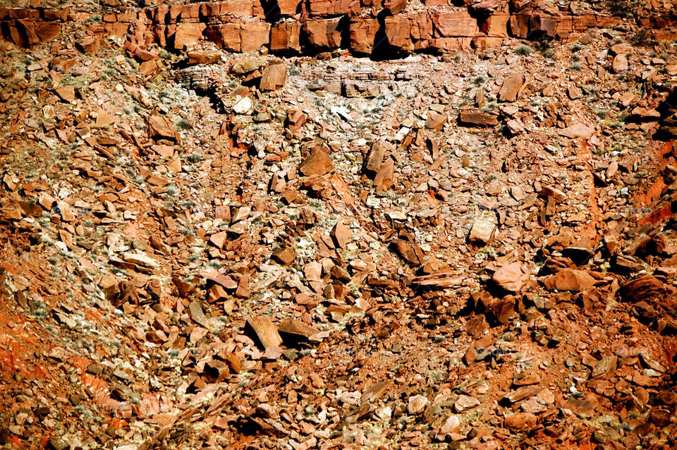 Petrified forest rock wall