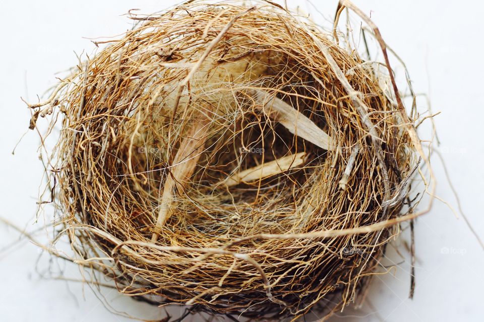 Creative Textures - tiny bird's nest