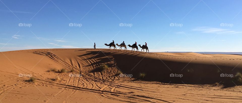 Desert, Sand, Landscape, No Person, Travel