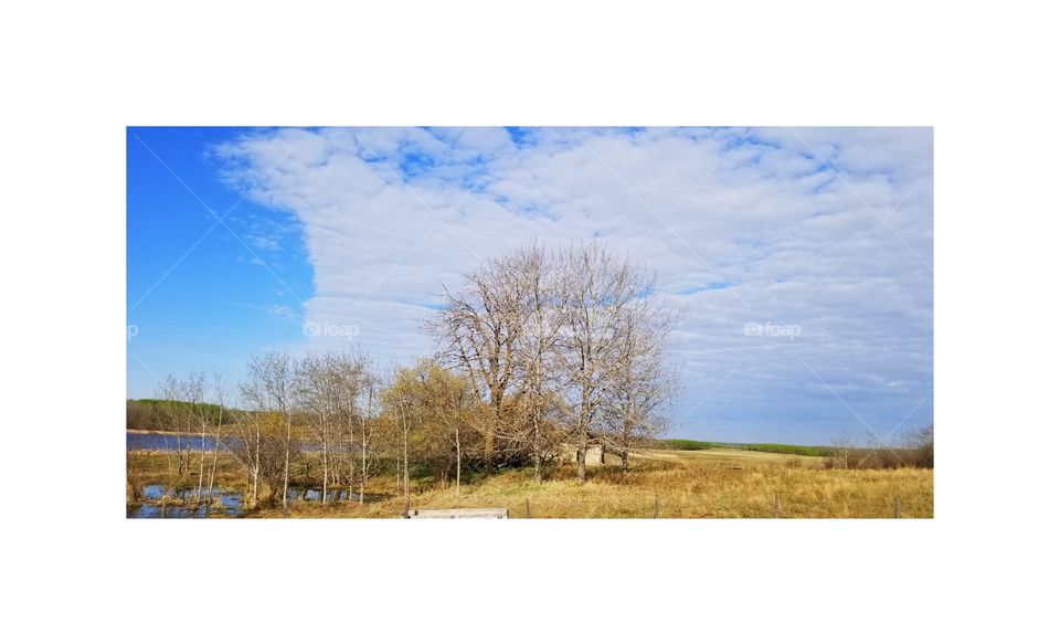 rural barn, old and falling apart. with trees and cool clouds.
