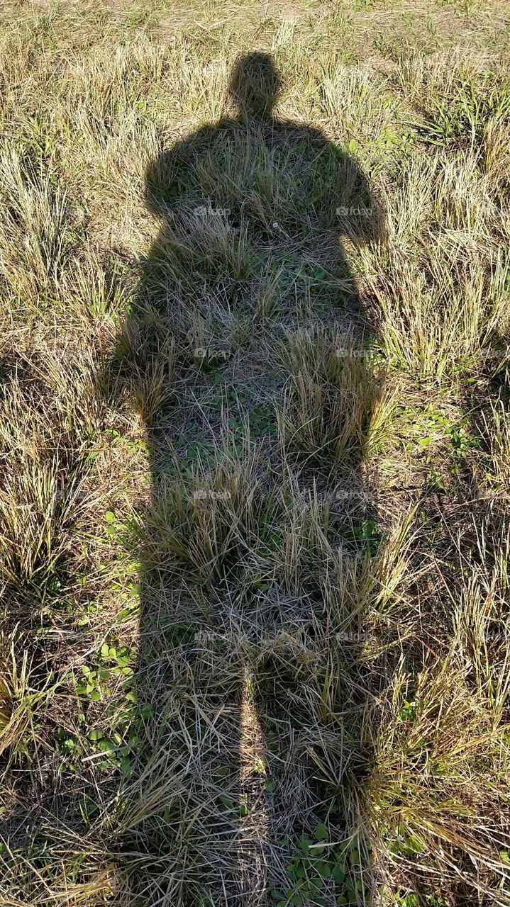 long tall shadow of person in nature