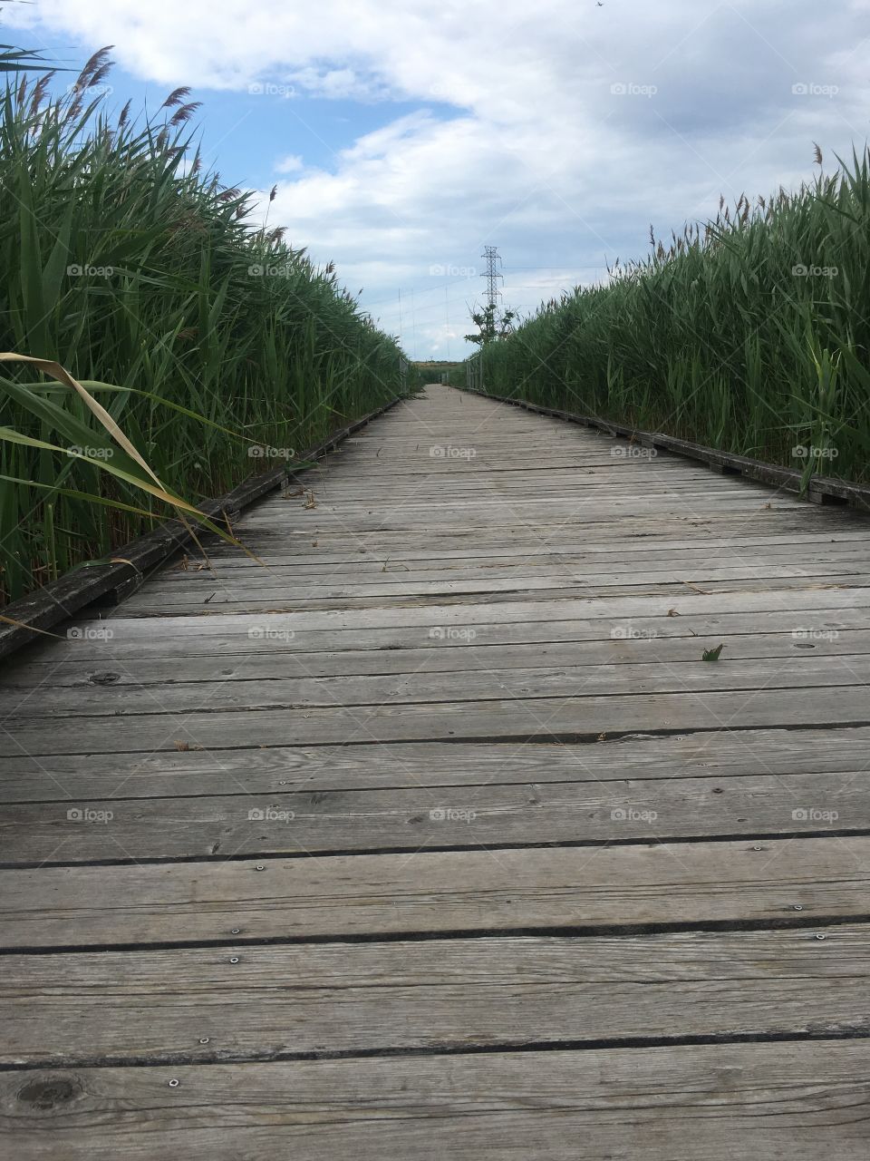 Boardwalk