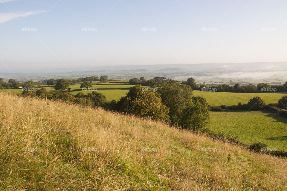 Landscape, Field, Agriculture, Sky, Nature