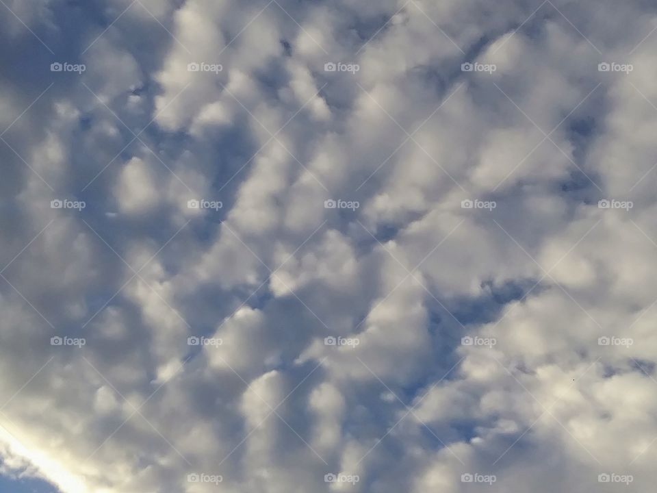 altocumulus clouds at sunset