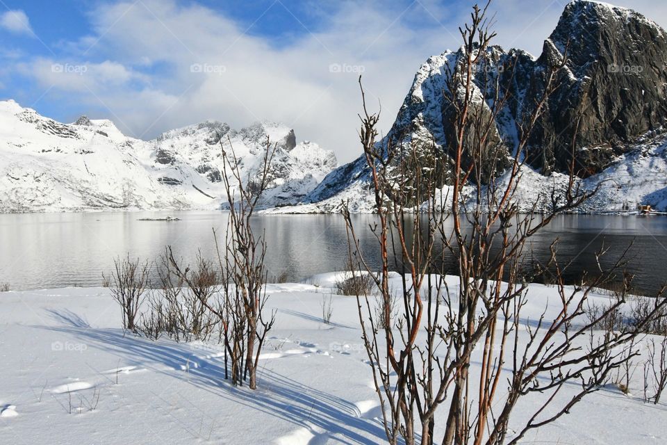 Beautiful Winter Landscapes