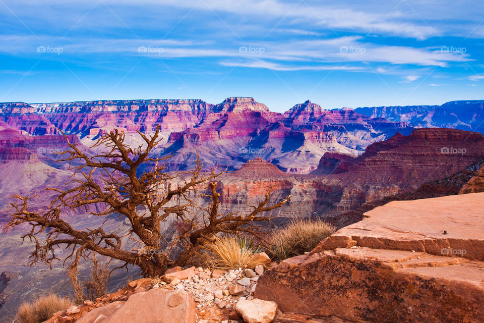 Grand Canyon national park