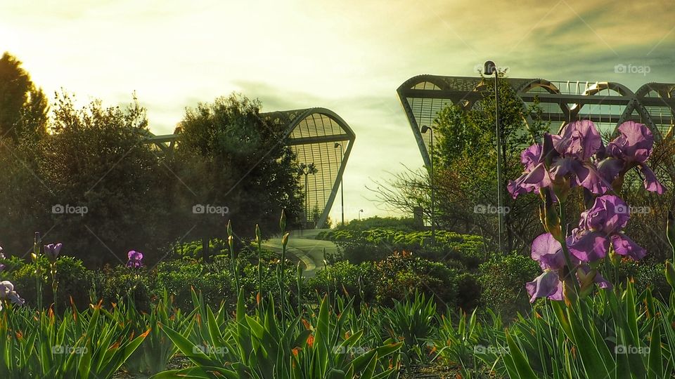 Puente monumental de Arganzuela