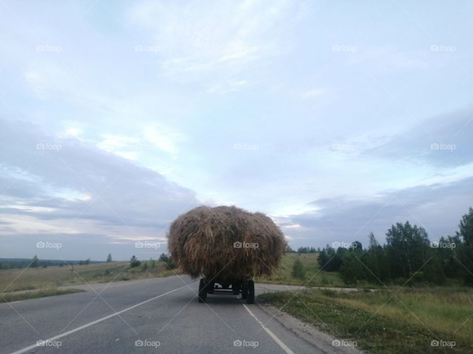 Cart with hay rides on the road