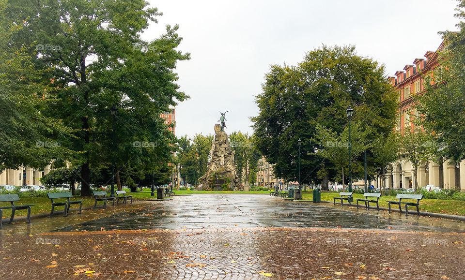 Autumn in Turin, first leaves on the floor 
