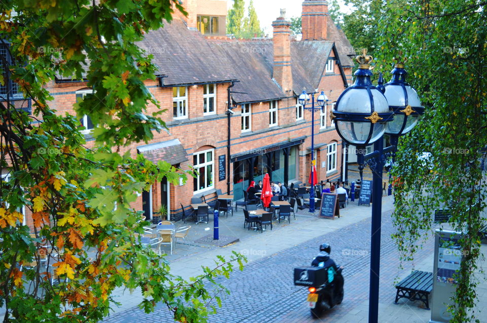 autumn in the city