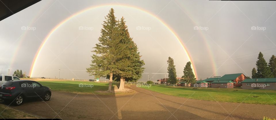 Montana Rainbow