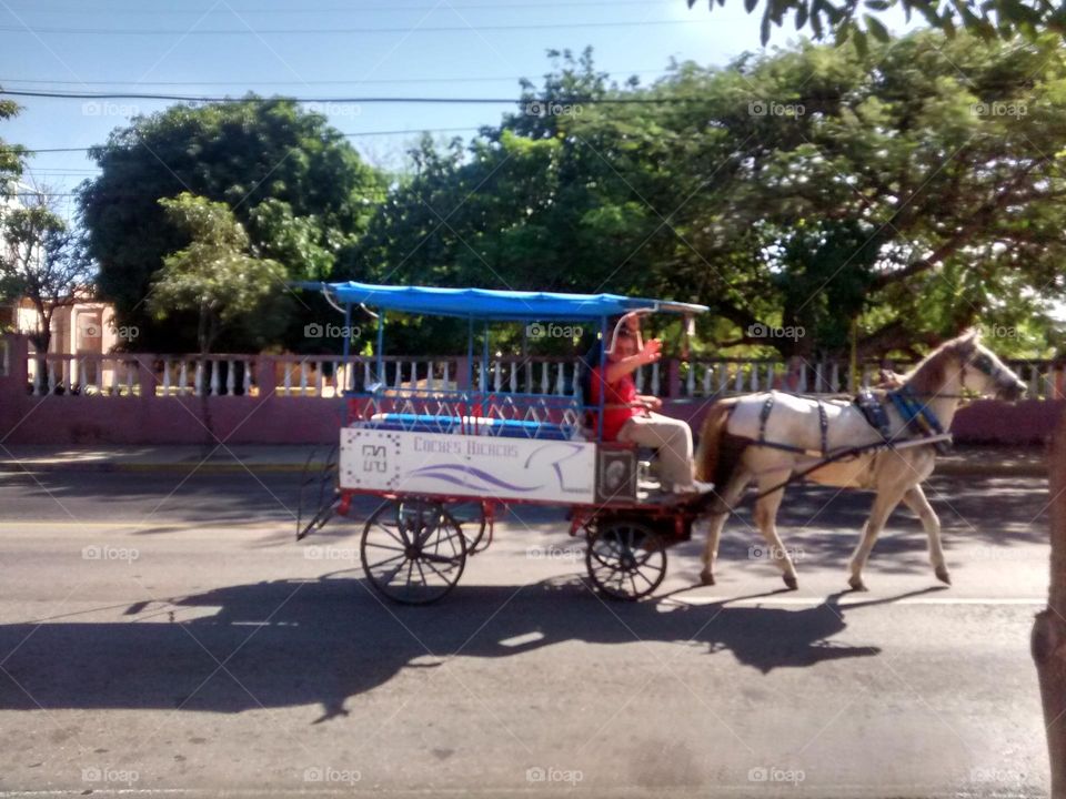 Hicaco cars.  Tourist ride cars in Cuba Varadero.  cart, horse