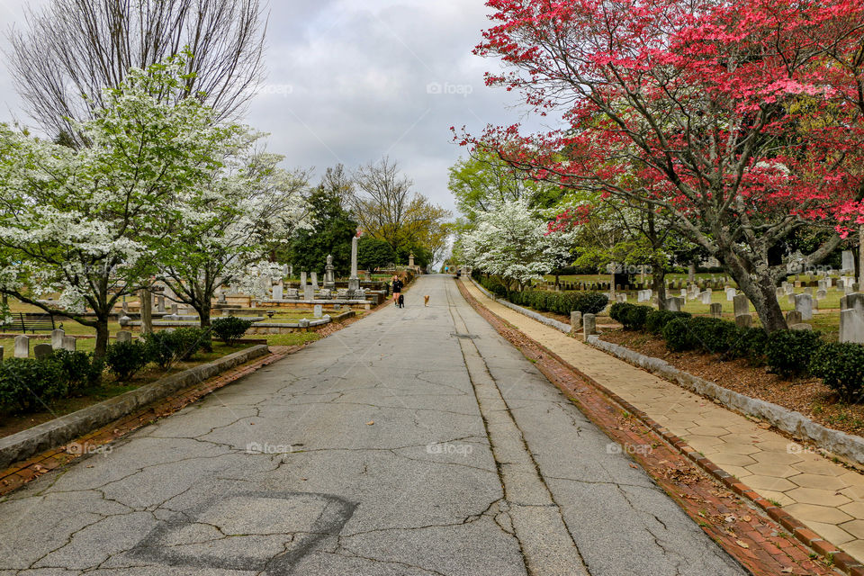 a beautiful spring day