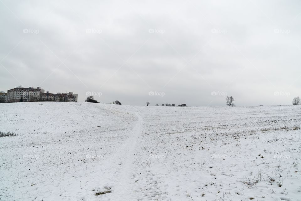 meadow covered by snow during winter. Slovakia