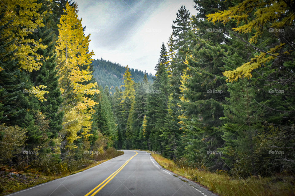 Fall in Pacific Northwest