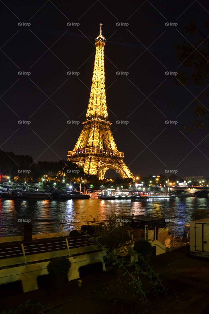View of Eiffel Tower at night