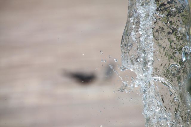 Water drops reflects the light