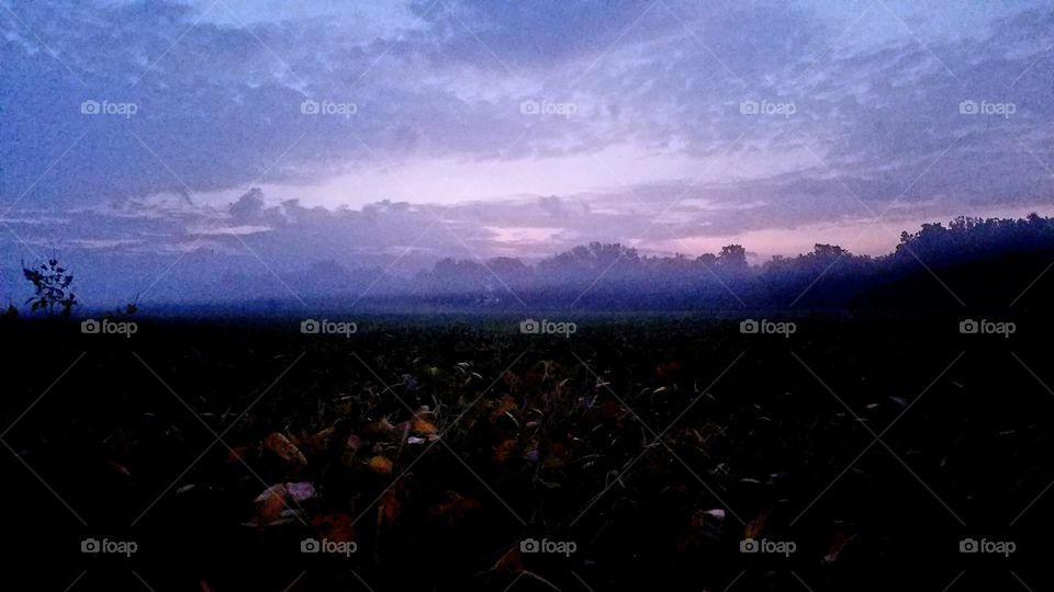 morning mist in the Midwest