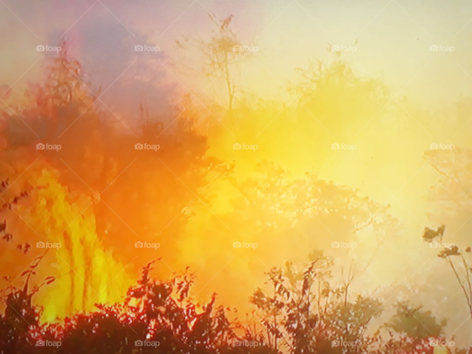 desastre e destruição ambiental