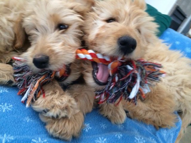Sharing Happiness