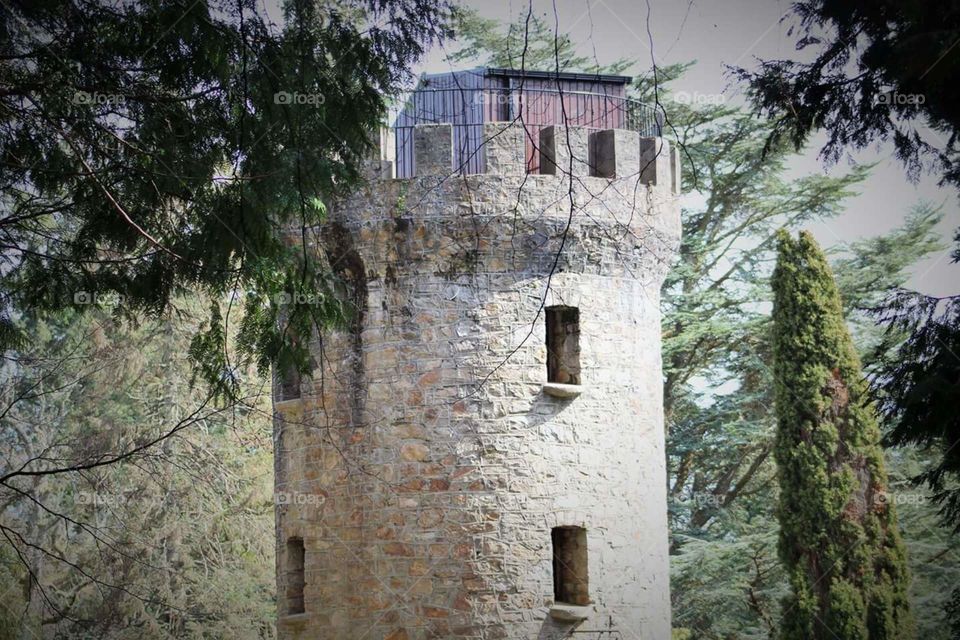 tower in powerscourt
