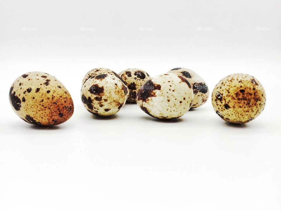 the little quail eggs on white background