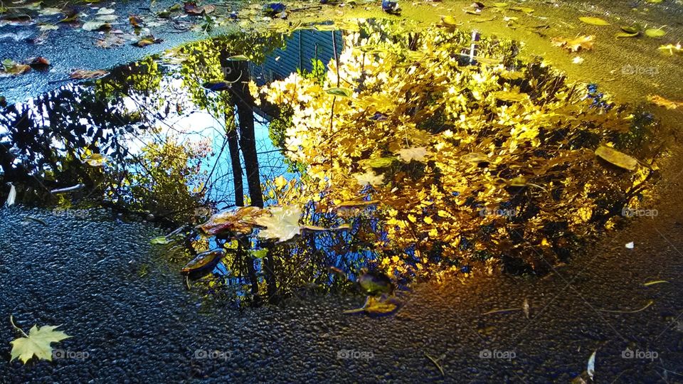 Mirror on the ground