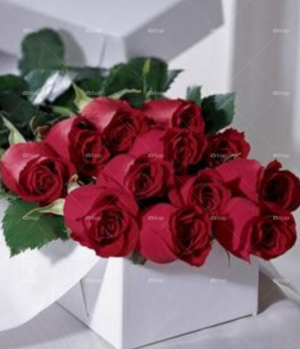 roses for you nice ladies