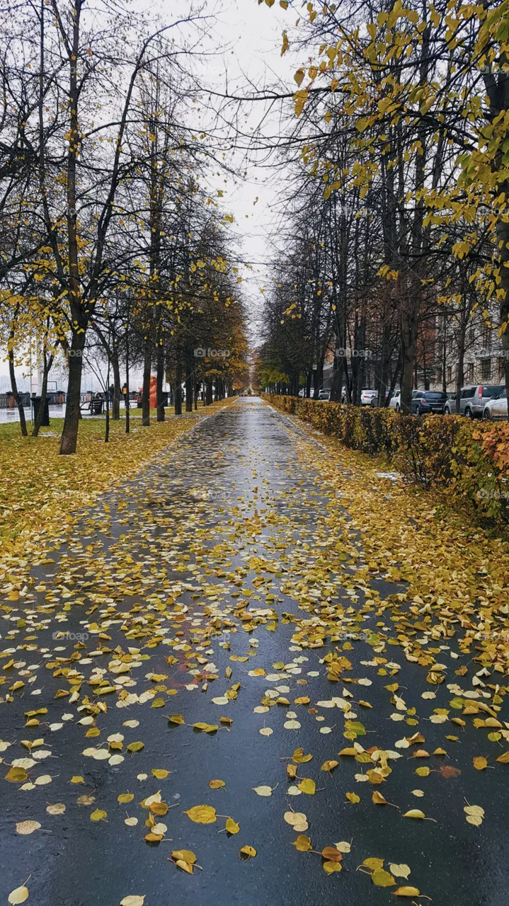 autumn