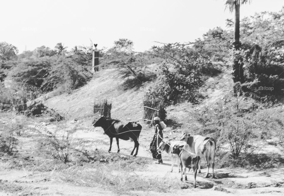 villagers black and white photography 