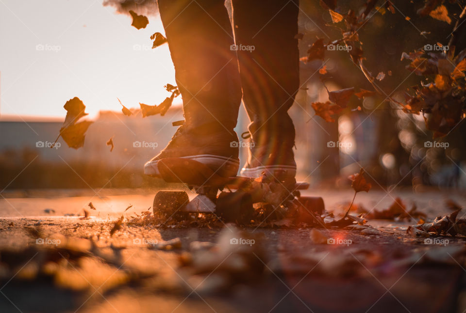 Boy riding a skate through leaves on the street during sunset.