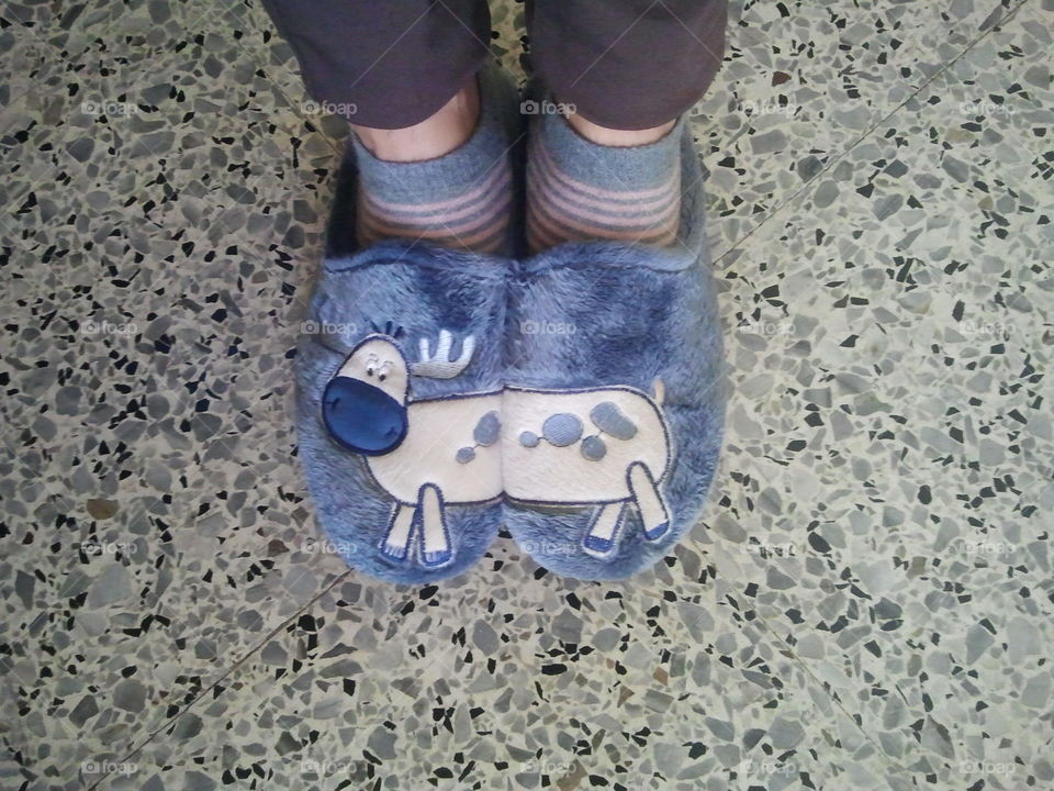 funny shoes. cow shoes
