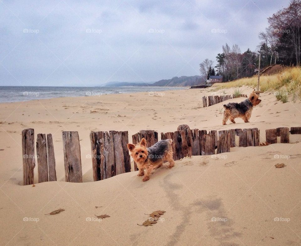 Are you looking at me?