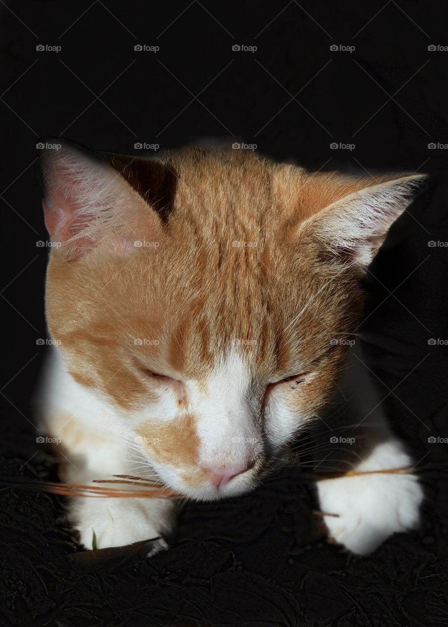 Little Baby (Gone to Heaven...)