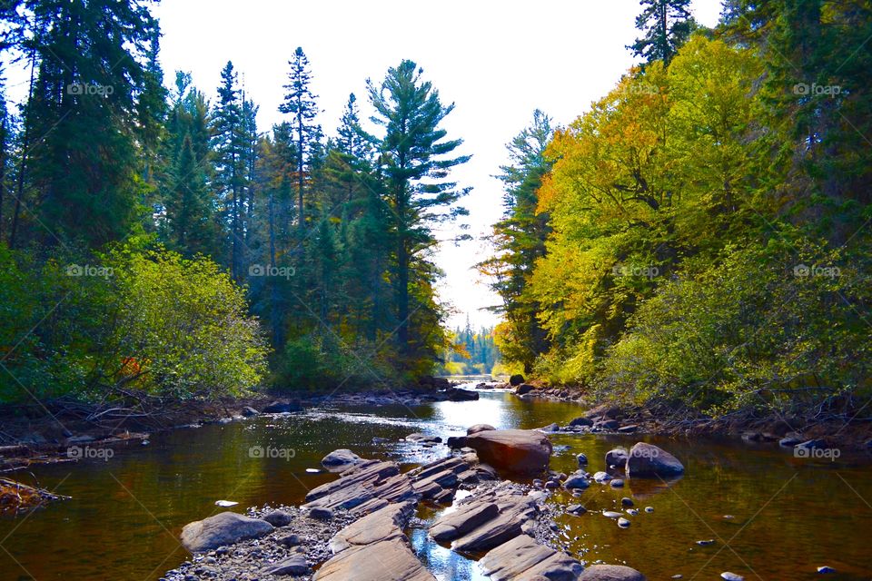 Water, Fall, Outdoors, Nature, No Person